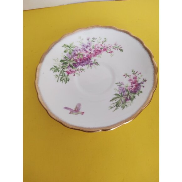 Rosina Tea cup and Saucer, Floral Bouquet with bird, Gold Accents England - Picture 7 of 15